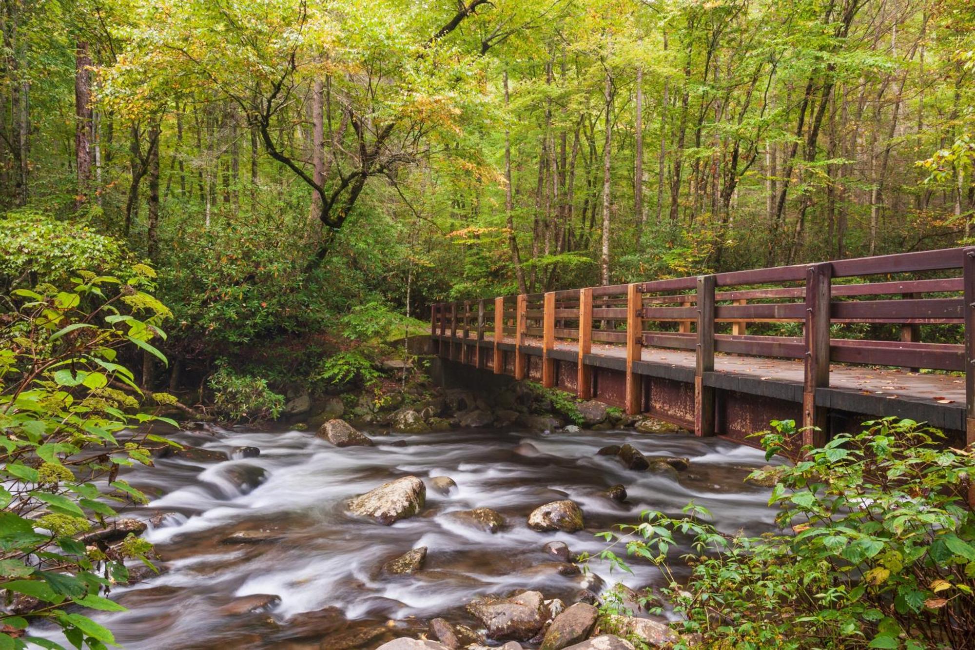 Tranquility Hollow, Indoor Pool, Game Room, 1089 Free Tickets Each Paid Day, Dollywood And More! Sevierville Bagian luar foto